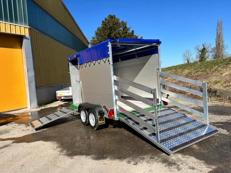 WhatsApp Bild 2025-03-05 um 18.09.15_791d5a05