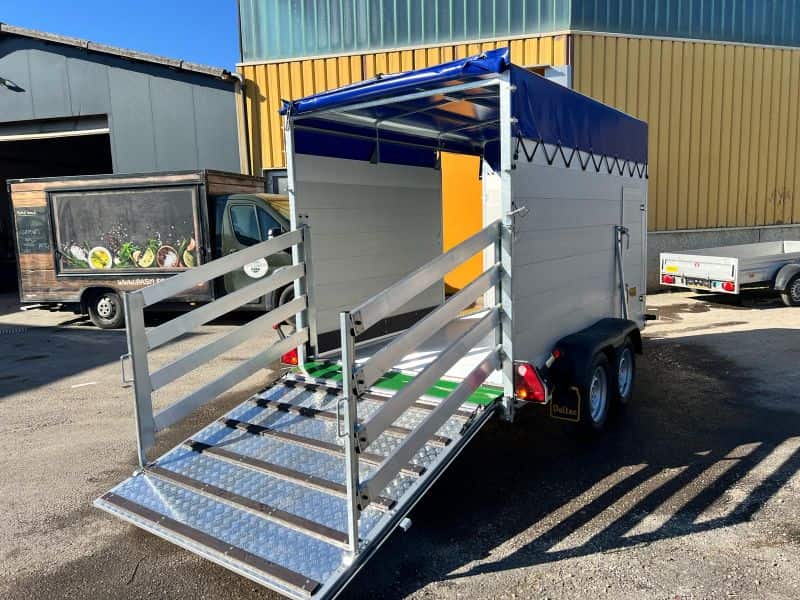 WhatsApp Bild 2025-03-05 um 18.09.15_d0d11a8b