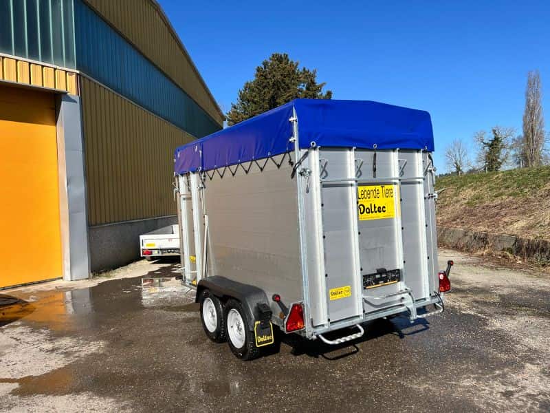 WhatsApp Bild 2025-03-05 um 18.09.15_d1d9d216