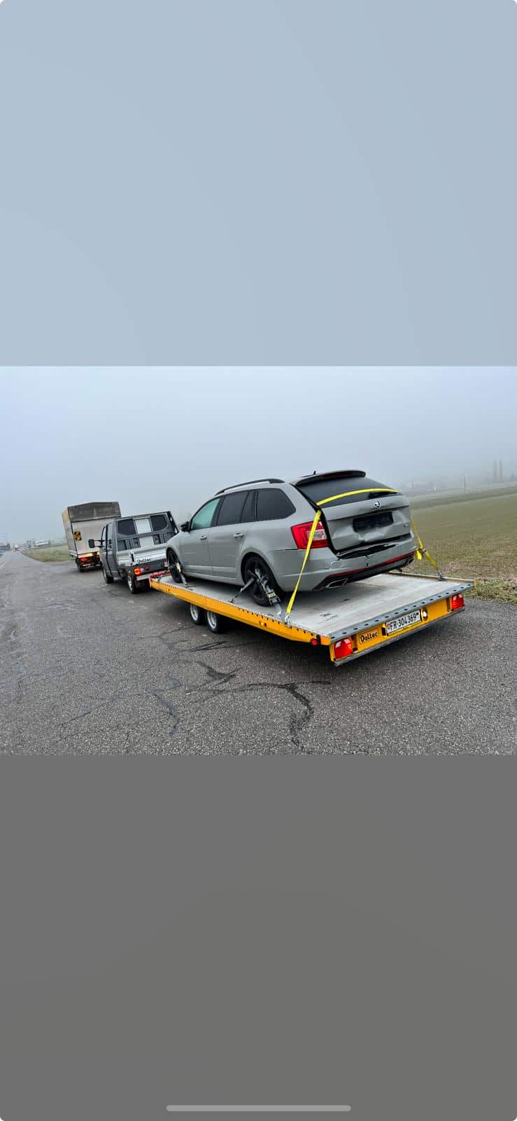 WhatsApp Image 2025-12-11 at 14.10.51