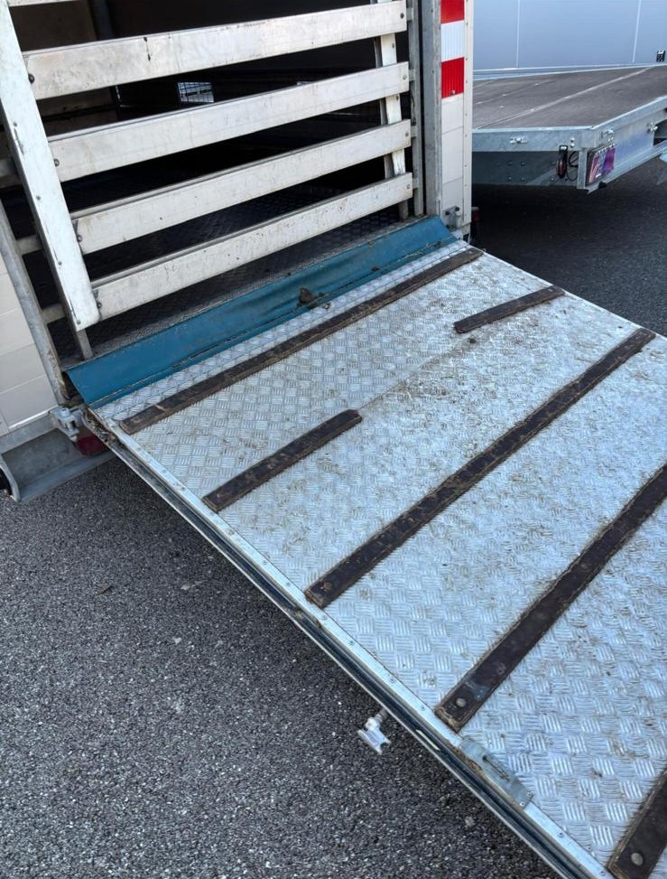 VT Cargo 3500 DVG 010526 (1)