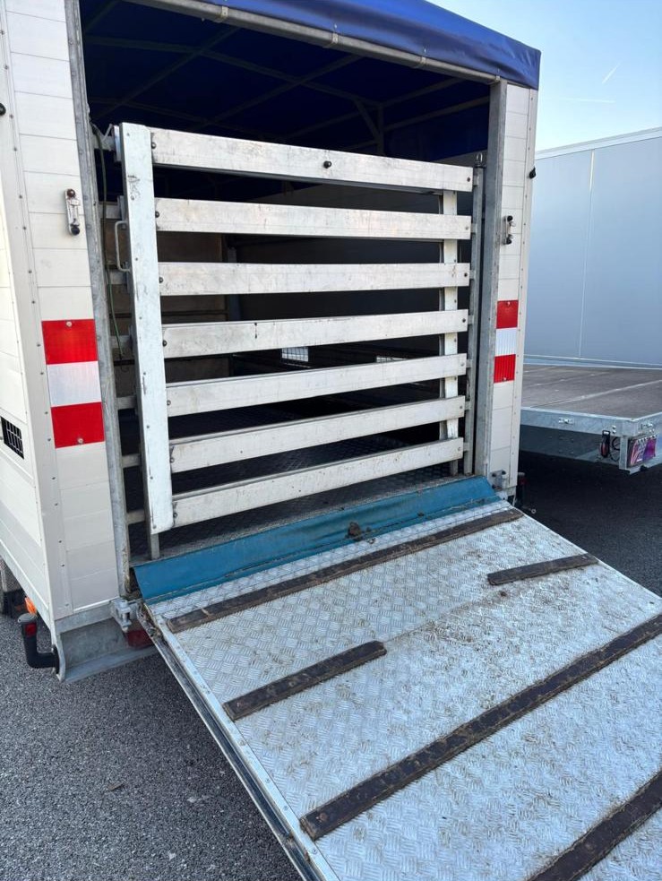 VT Cargo 3500 DVG 010526 (4)